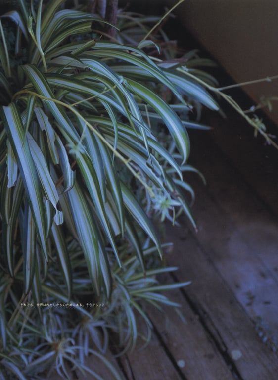 图片[101]-#相楽のり子 写真集 on／off - 全本免费在线观看-阅图吧