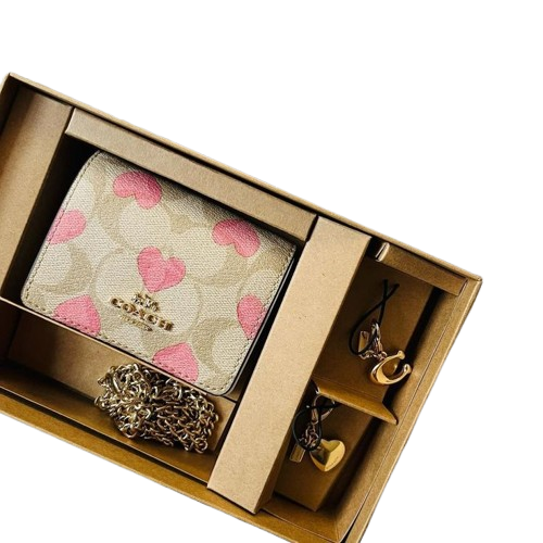 Mini carteras Coach con Charms 01
