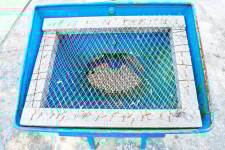 石井製作所・ロータリークラッシャー・RKM-8Eの5枚目画像