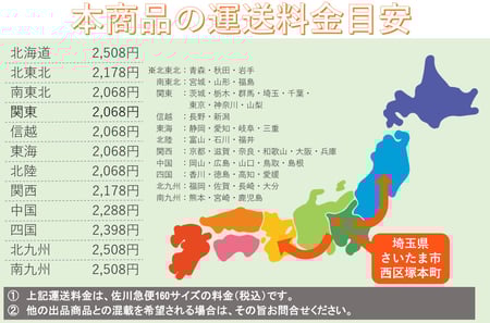 工進・ハイデルスポンプ・KH-50PXTの9枚目画像