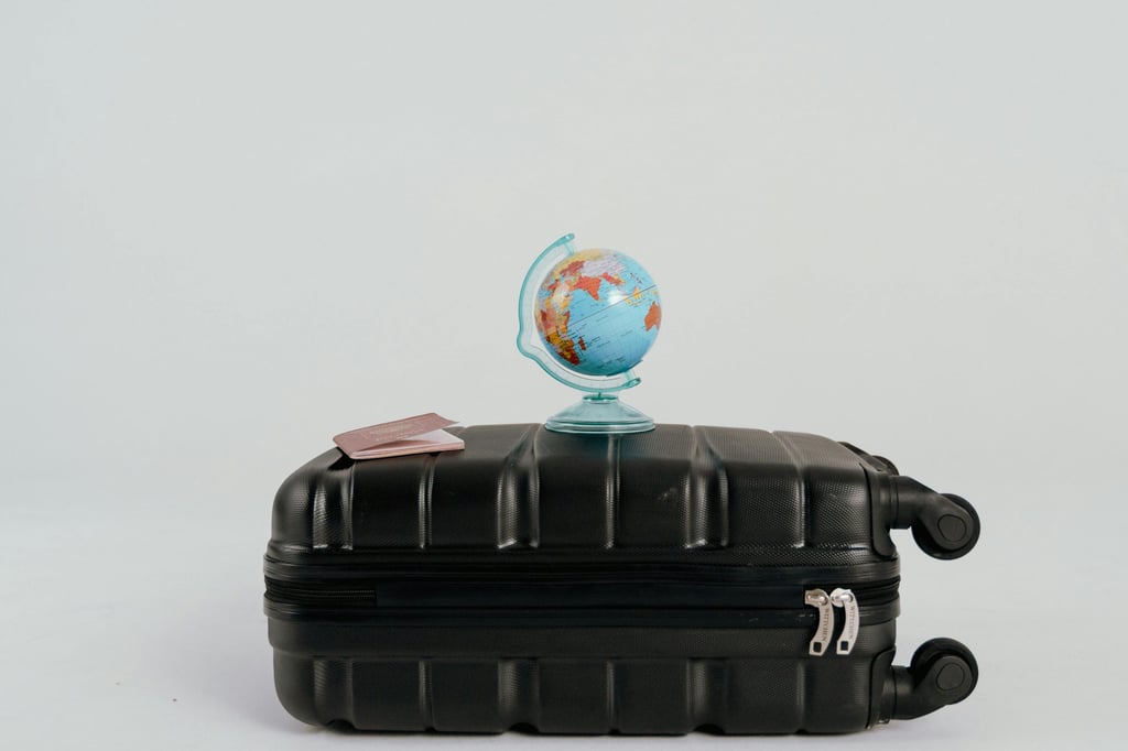 how the suitcase flies