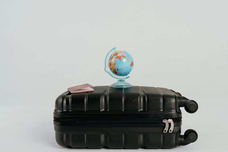 how the suitcase flies