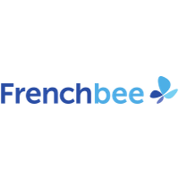 Vincent Aviation logo