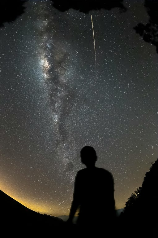 暗い夜空に流れること座流星群の流星