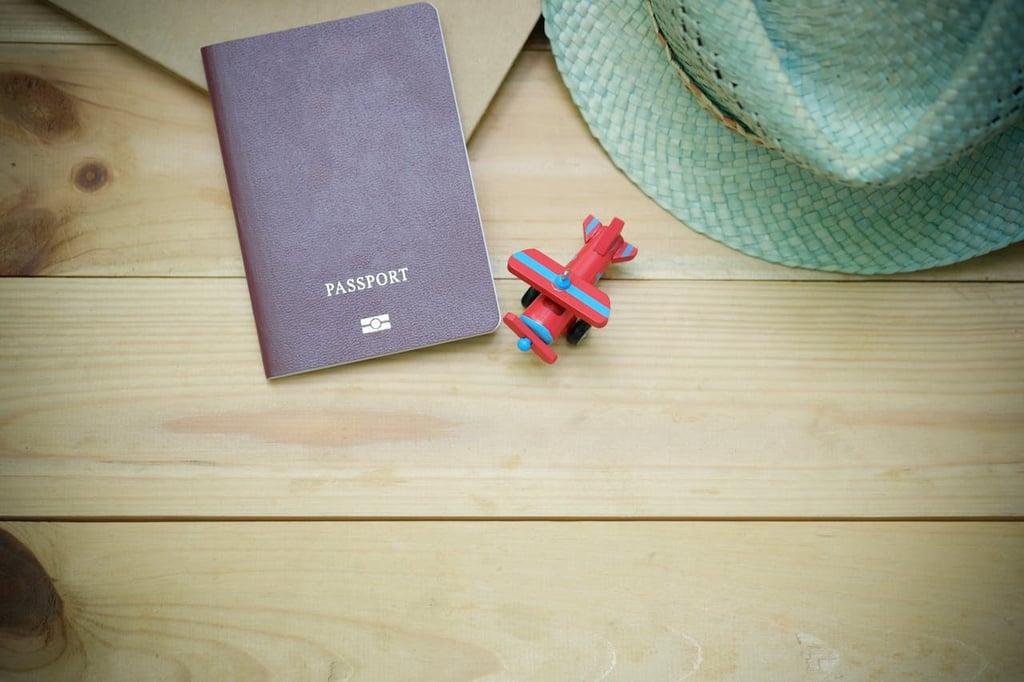 Passport rating