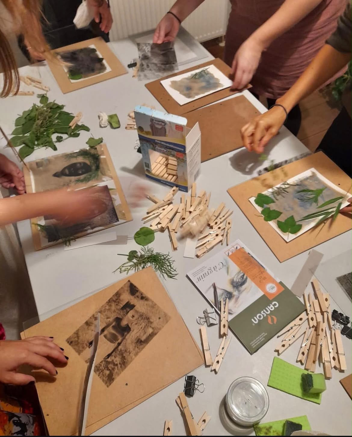 Atelier cyanotype avec Estéfania Henriquez