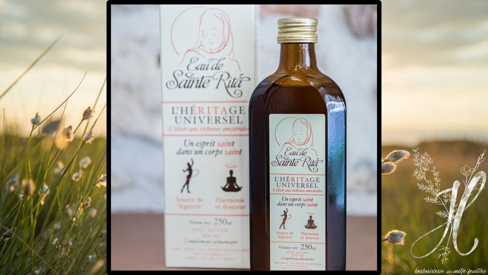 Présentation de l'Eau de Sainte Rita: cure dépurative et régénérante - gratuit
