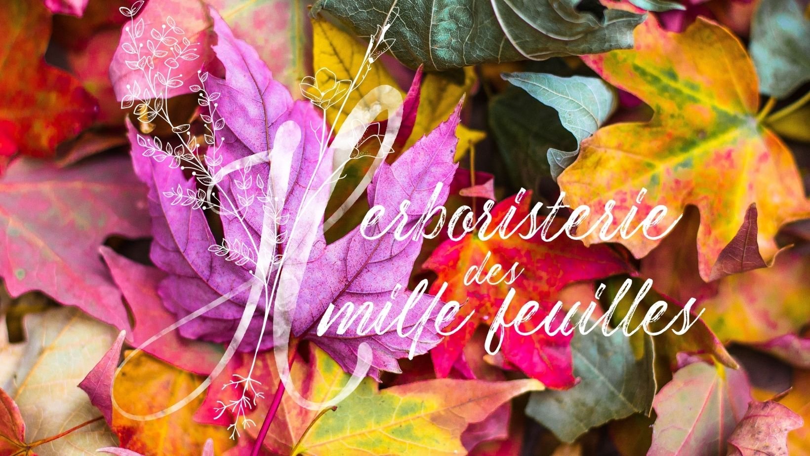 Conférence gratuite sur l'Automne