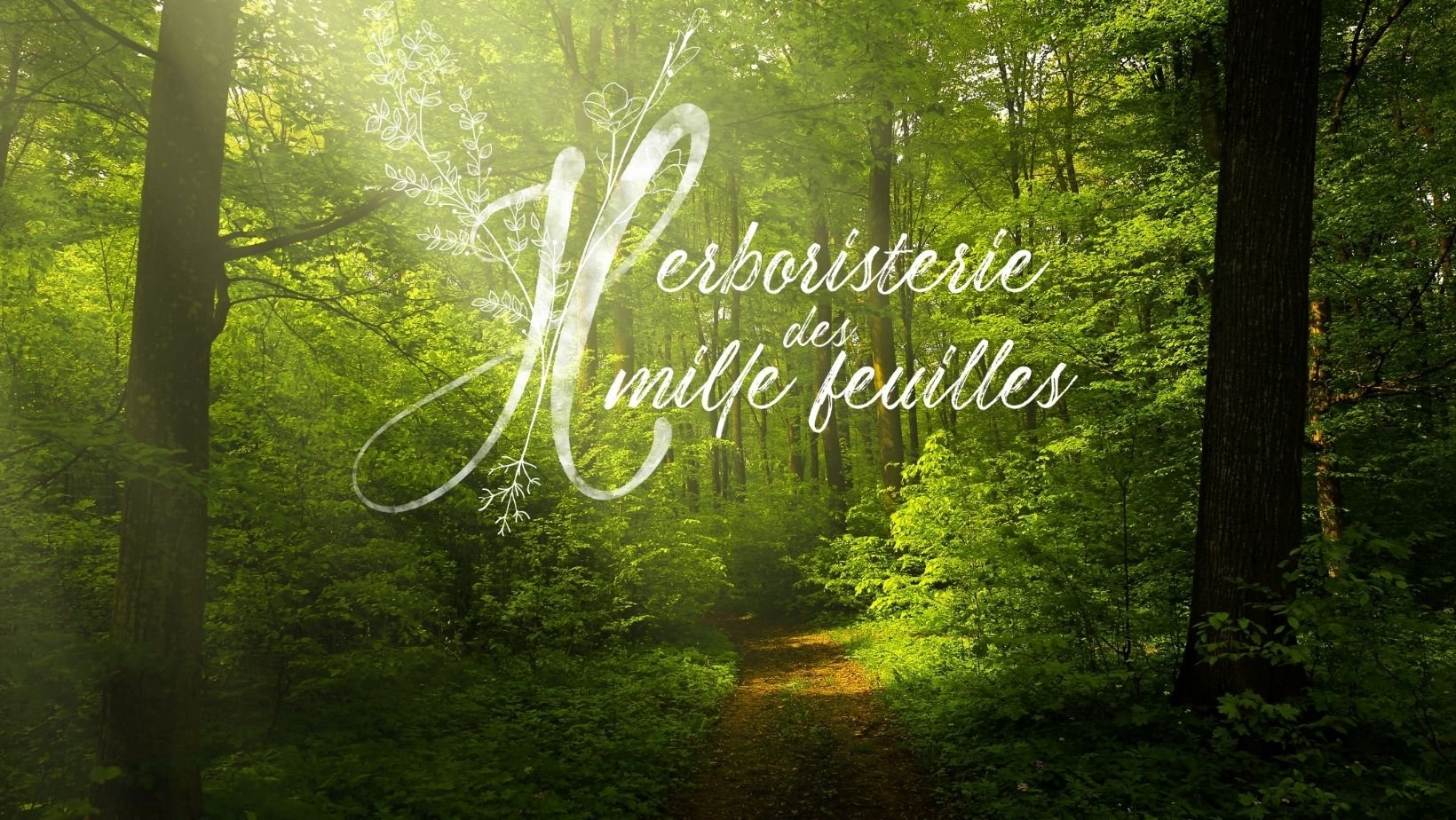 Sortie Découverte des plantes médicinales et comestibles - Létra