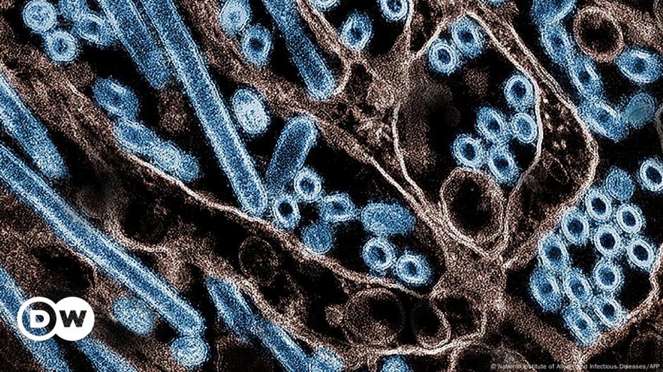 Innovaciones urgentes en vacunas buscan combatir la gripe aviar H5N1 y las cepas estacionales.