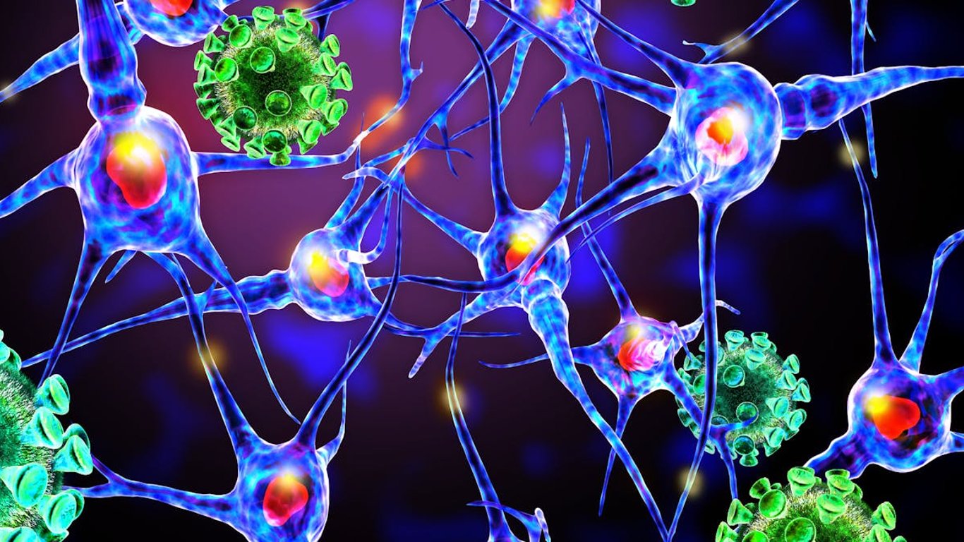 Virus y neurodegeneración: nuevas evidencias sobre su conexión preocupante