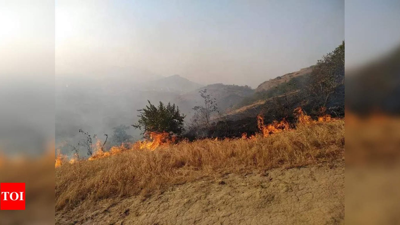 Los residentes de Pune se unen para tomar medidas urgentes contra las crecientes amenazas de incendios forestales.