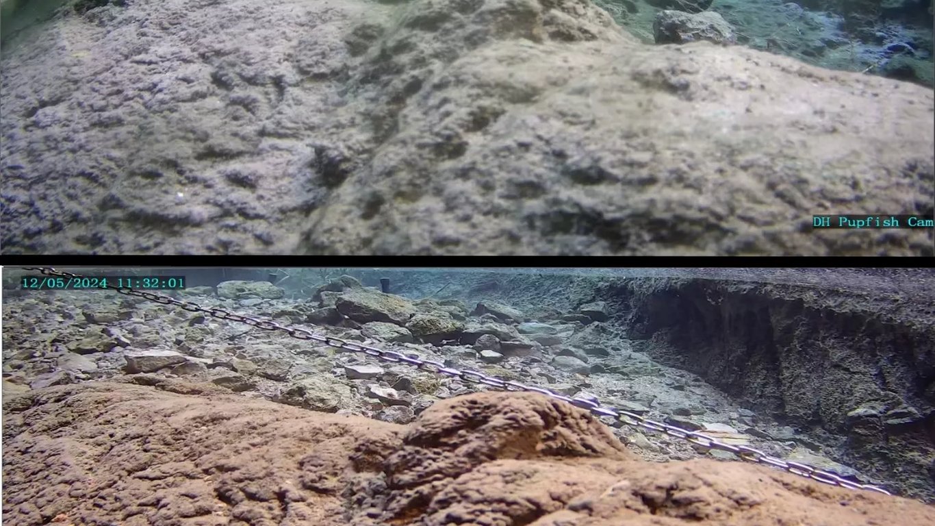 Ondas de Choque Sísmico Transforman el Hueco del Diablo: Amenazas y Esperanza para el Pez Cachorrito en Peligro de Extinción.