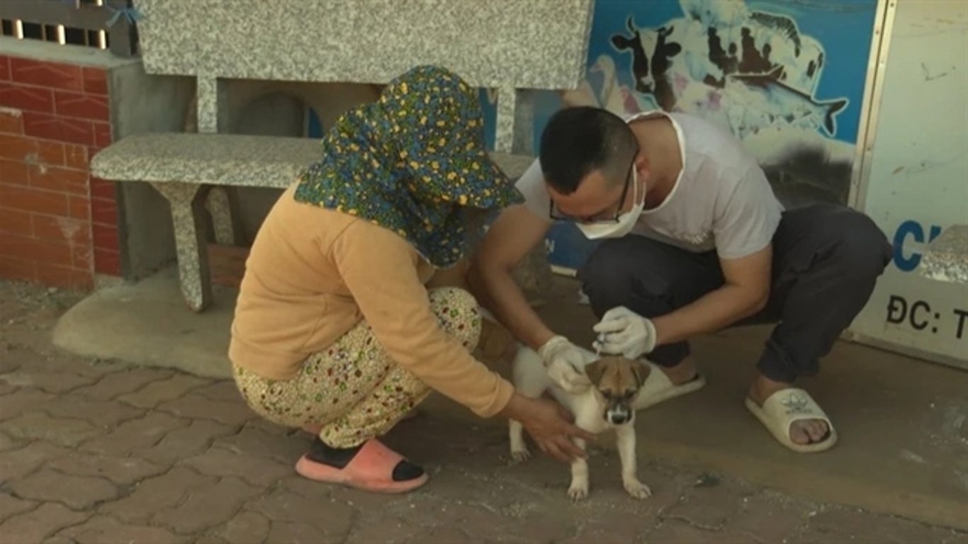 Rabies Tragedy Strikes Bà Rịa-Vũng Tàu: Urgent Calls for Pet Vaccination Rise