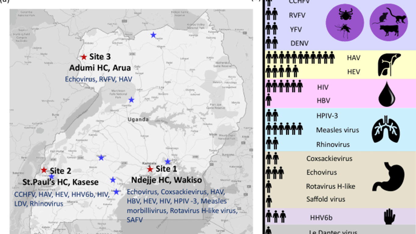 Estudio revolucionario utiliza secuenciación avanzada para descubrir enfermedades virales ocultas en Uganda.