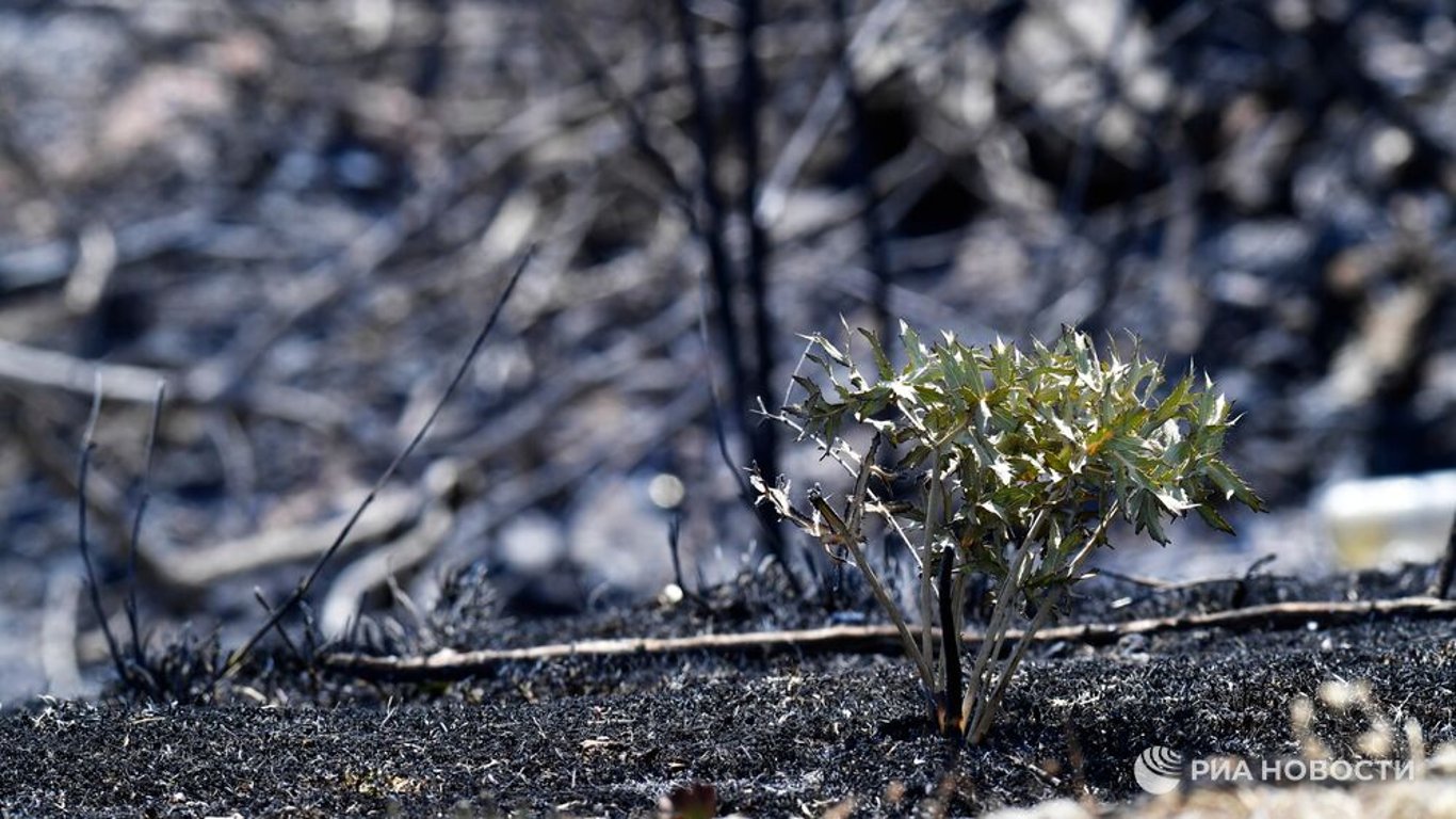 Crisis en San Ignacio de Velasco: incendios y escasez de agua amenazan a la población