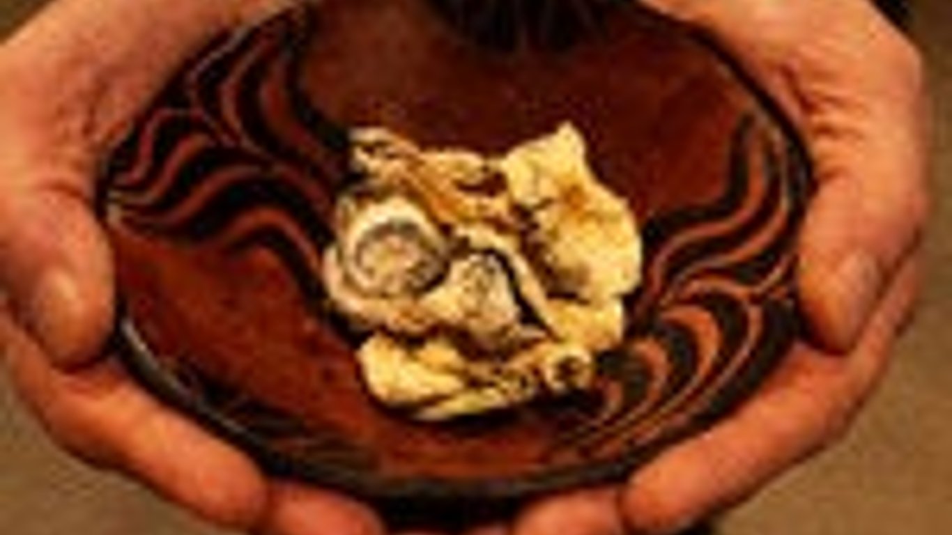 Los psicodélicos entran en la sala de juntas: cómo los líderes corporativos abrazan el crecimiento que altera la mente.