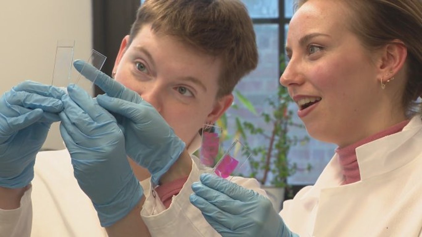 Investigación pionera sobre el Alzheimer en Chicago revela información clave para mejores tratamientos.