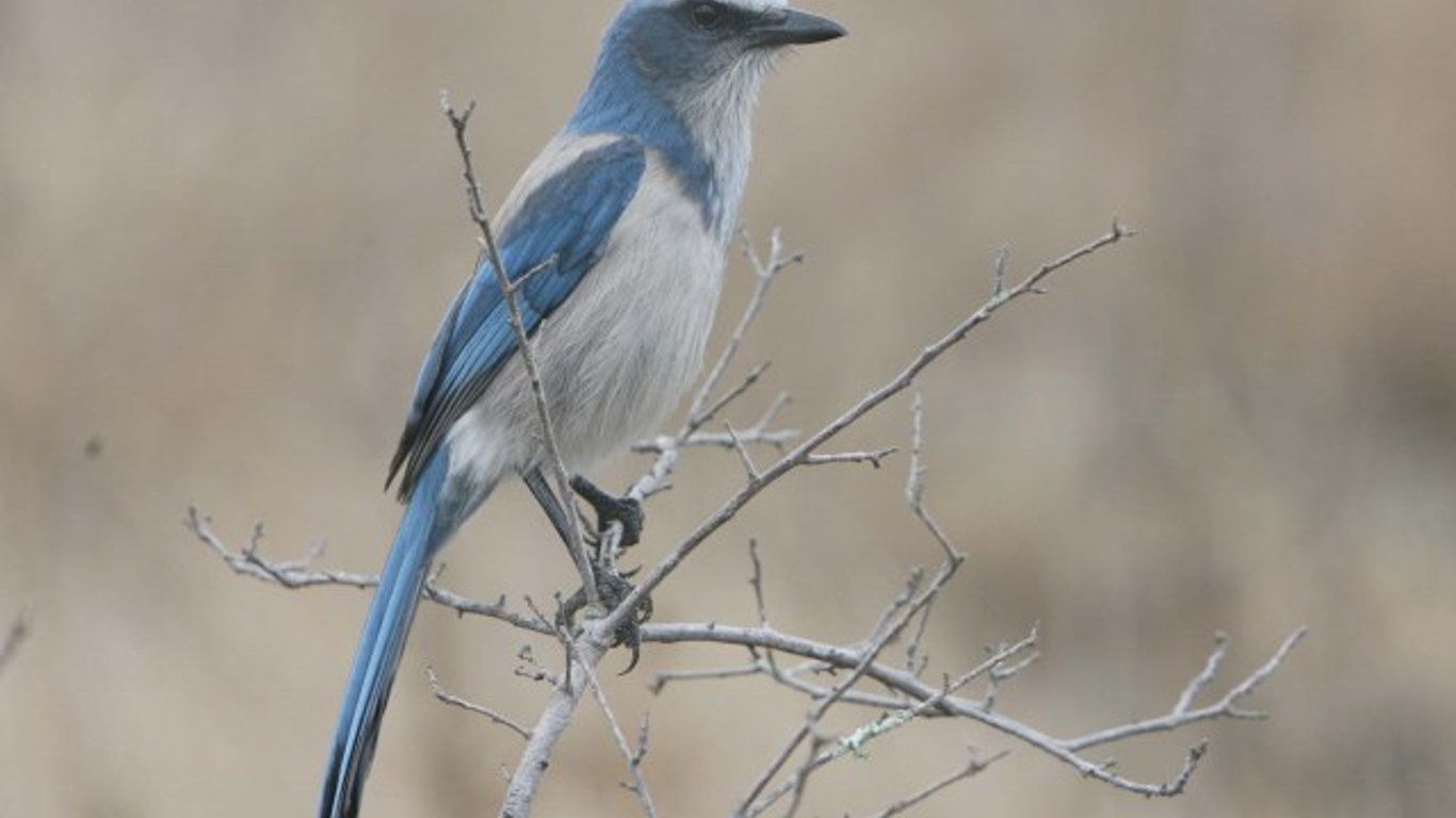 Enero en Volusia: ¡Sumérgete en la naturaleza, eventos divertidos y compromiso comunitario!