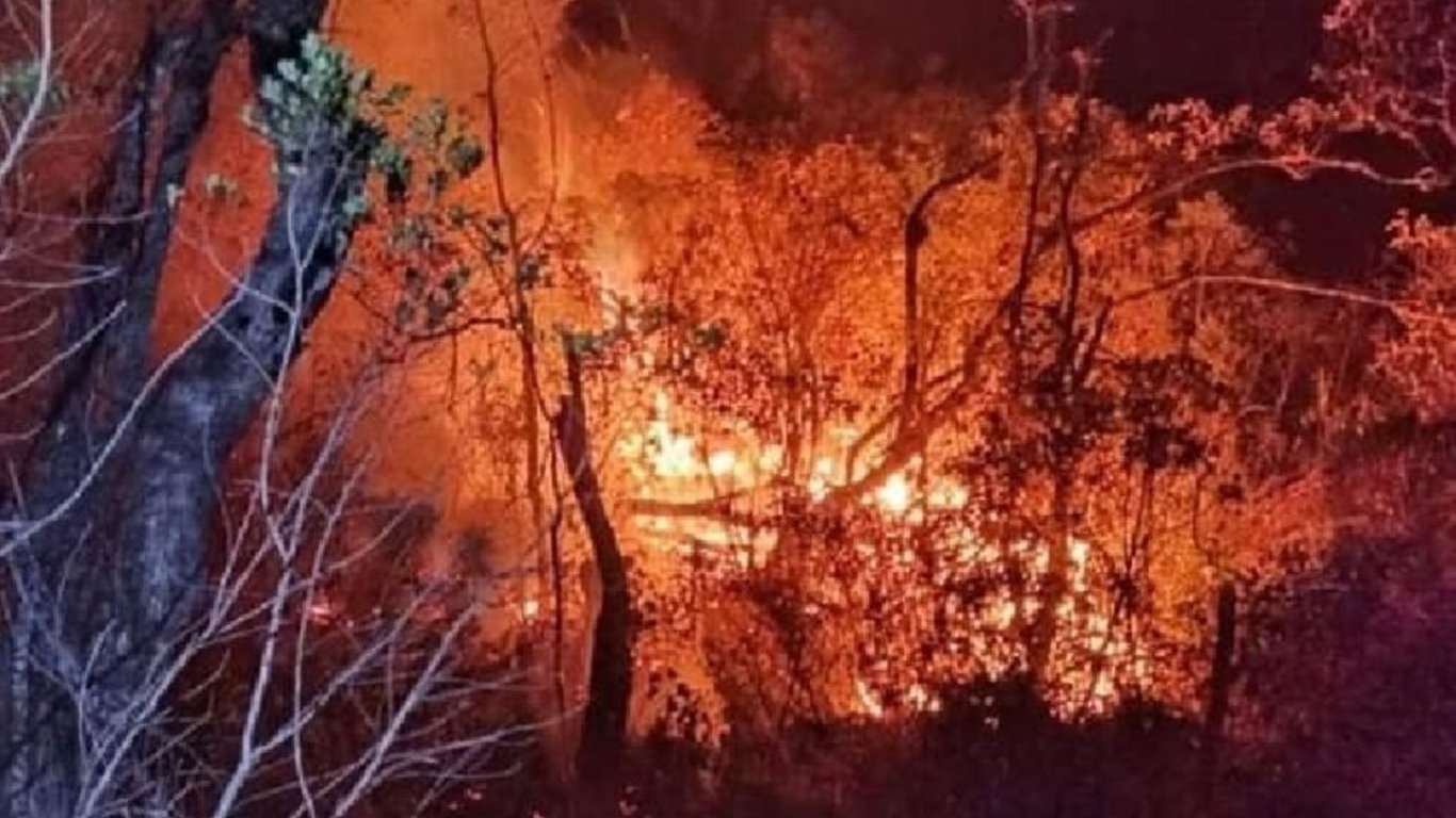 Alerta roja por riesgo de incendios en Sierra y Selva del Perú: condiciones climáticas adversas preocupan a autoridades y población. Medidas preventivas urgentes.