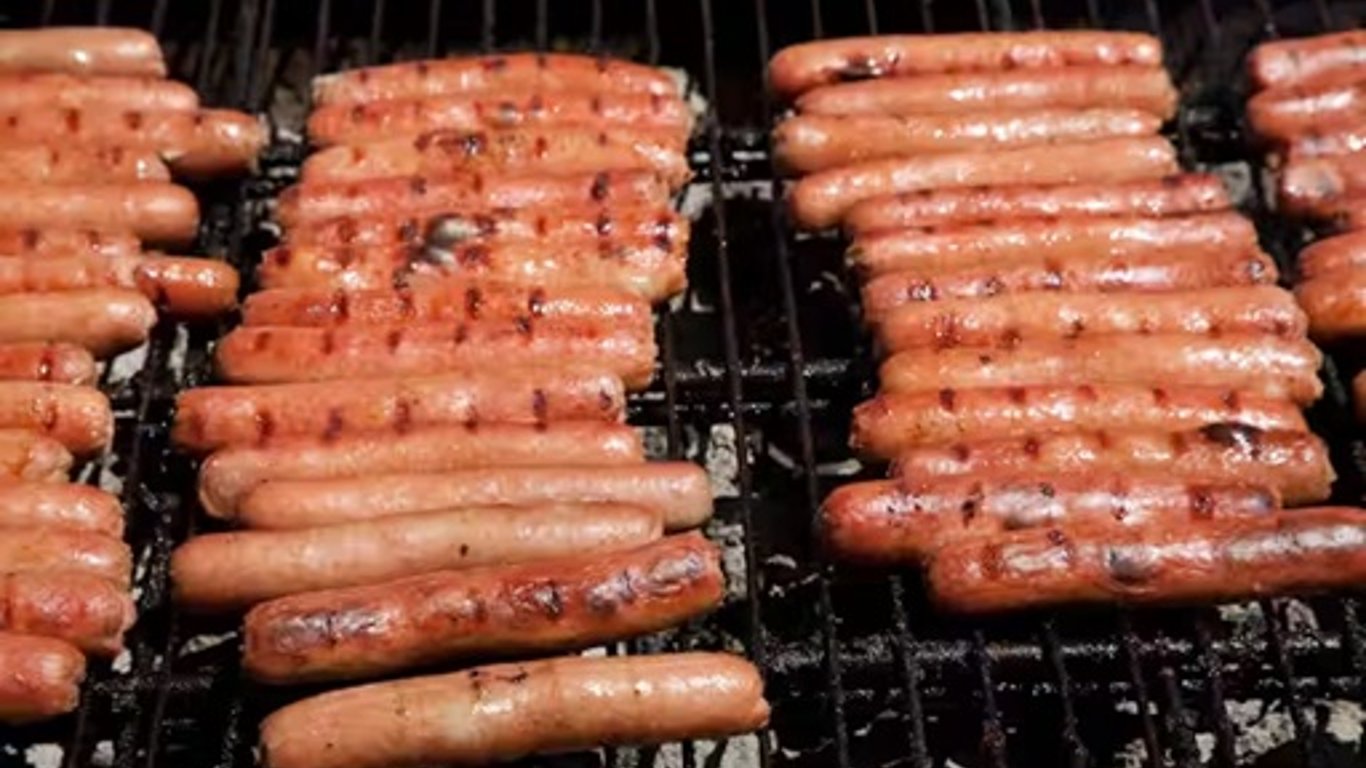 Año Nuevo, Nuevo Tú: Cómo una Dieta Libre de Carne Puede Mejorar la Salud Cerebral y la Longevidad.