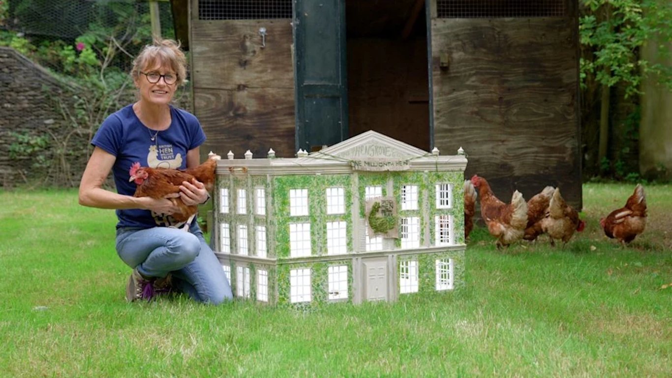 Endoso Real mientras el British Hen Welfare Trust reubica a su gallina un millonésima, Henrietta.