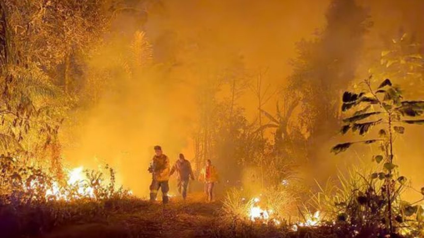 Incendios devastadores en Bolivia: 3,8 millones de hectáreas arrasadas y crisis ambiental