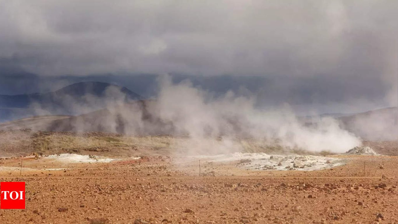 La vida florece: Descubre cinco increíbles criaturas que prosperan cerca de volcanes activos.