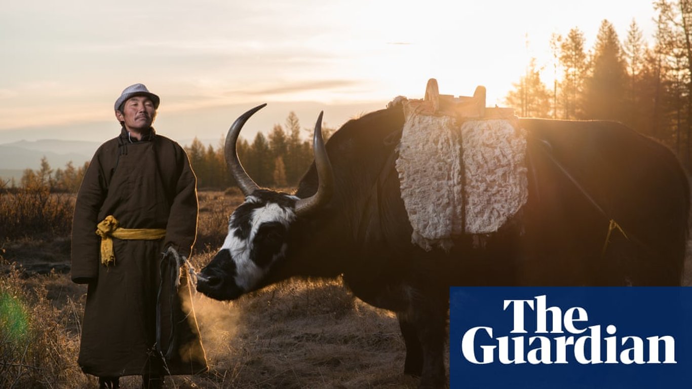 Australia Enfrenta una Ola de Calor Abrasadora Mientras los Vehículos Eléctricos Ganaron Terreno Ante Cambios Culturales.