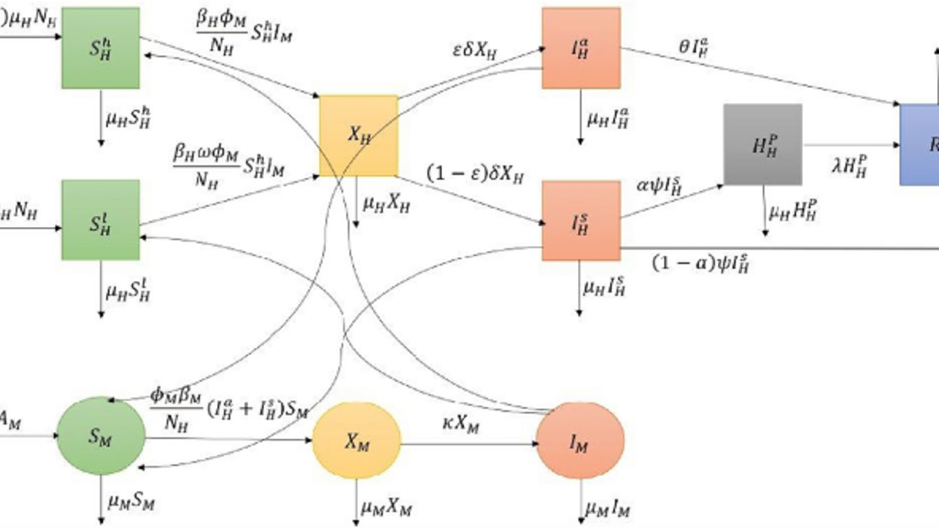 El modelado matemático arroja luz sobre la creciente amenaza del dengue en Nepal.