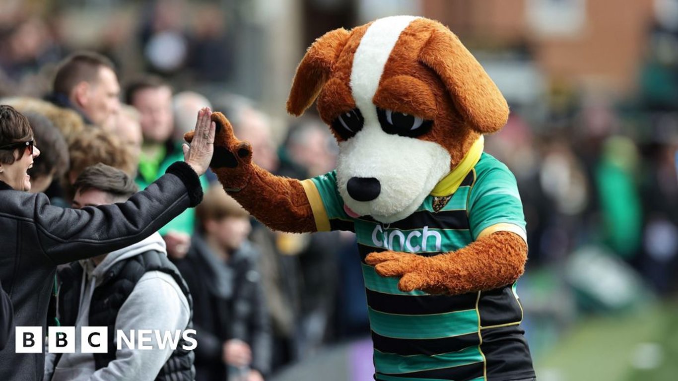 Northampton Saints Search for New Mascot to Continue Bernie's Legacy and Spirit