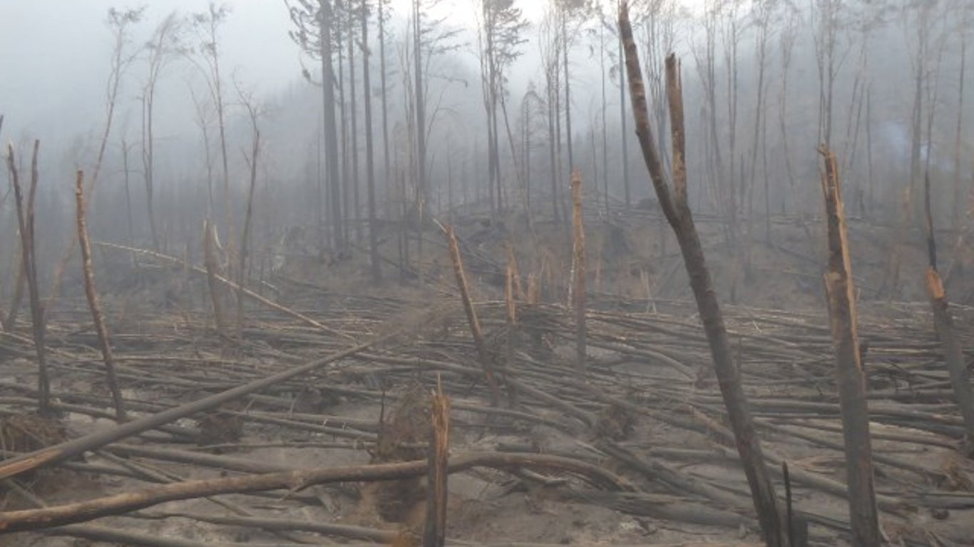 Demanda federal contra PacifiCorp por negligencia en los incendios forestales del Día del Trabajo de 2020.