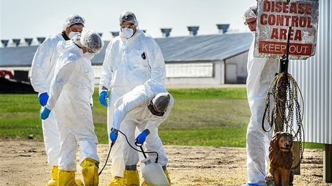 El aumento de casos de gripe aviar genera alarmas mientras EE. UU. enfrenta una amenaza sanitaria sin precedentes.