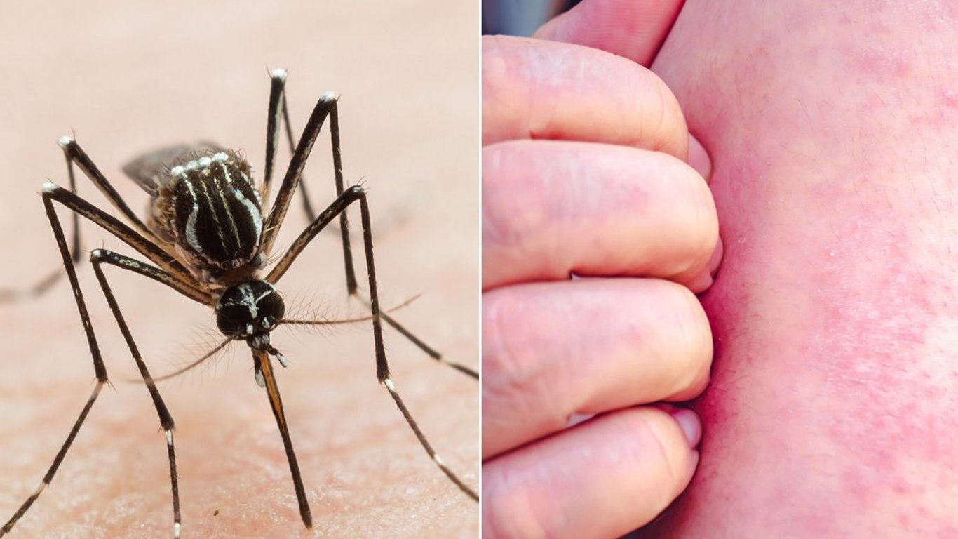 Expertos en salud global lanzan una alerta sobre la Enfermedad X y las crecientes amenazas de cara a 2025.