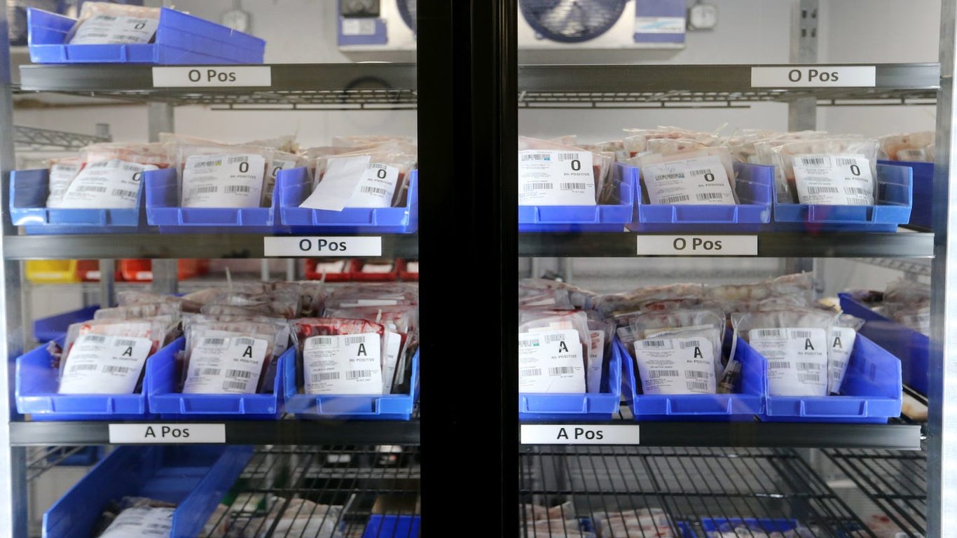 Impulsa tu Año Nuevo: ¡Únete al exclusivo programa de fitness Learn & Burn en el museo!