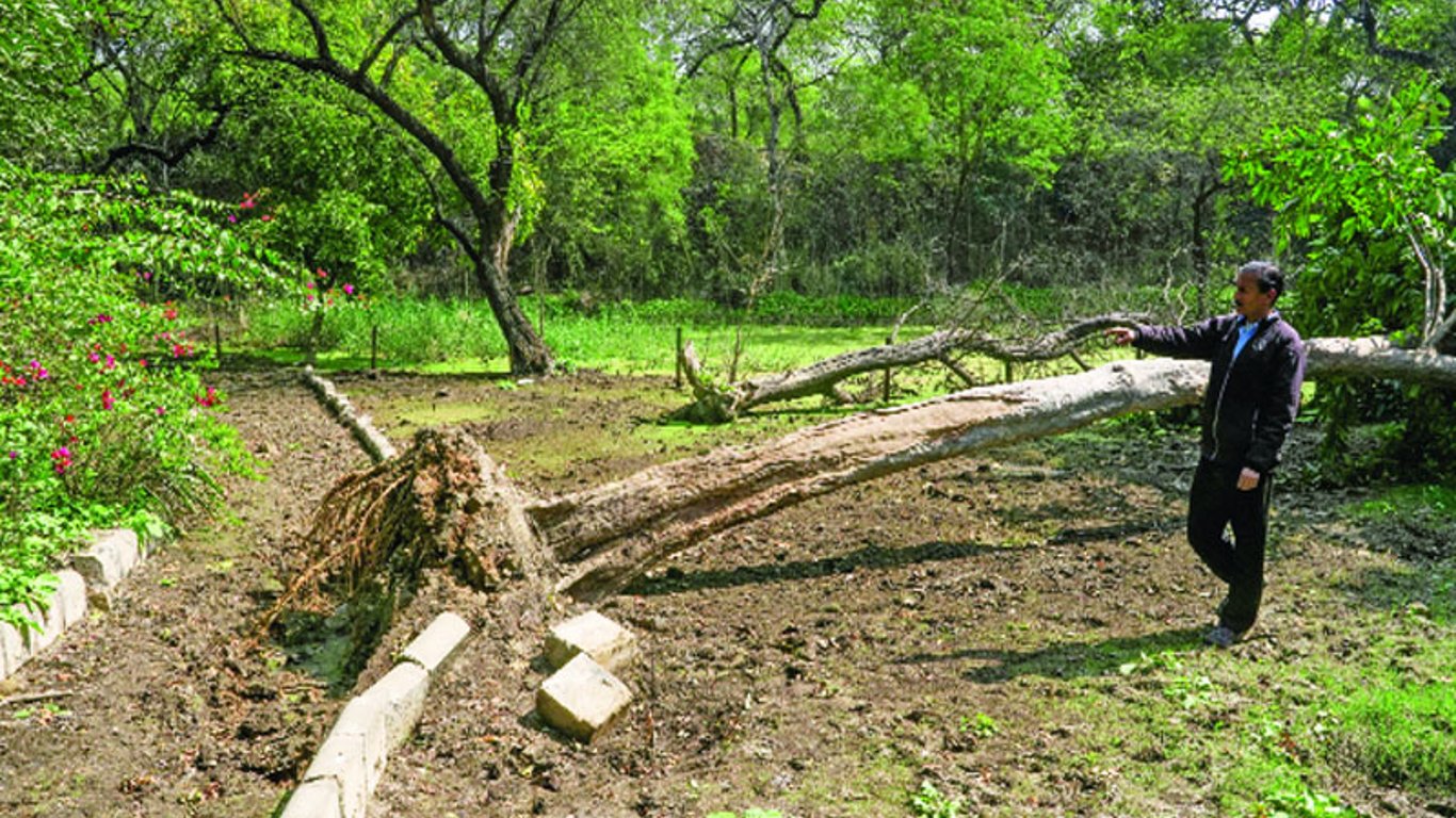 Delhi-NCR Conmovida por Terremoto en la Madrugada: Residentes Instados a Mantenerse Vigilantes