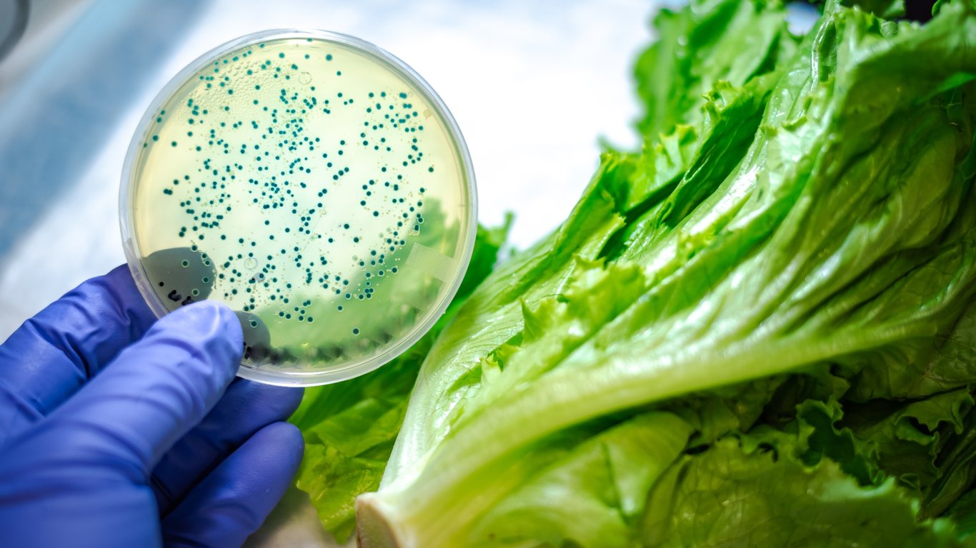 Los retiros de alimentos generan ansiedad en los consumidores: navegando la seguridad en medio de advertencias sobre bacterias.