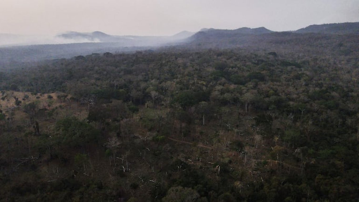 Incendios forestales devastan 2,9 millones de hectáreas en Bolivia y generan crisis humanitaria