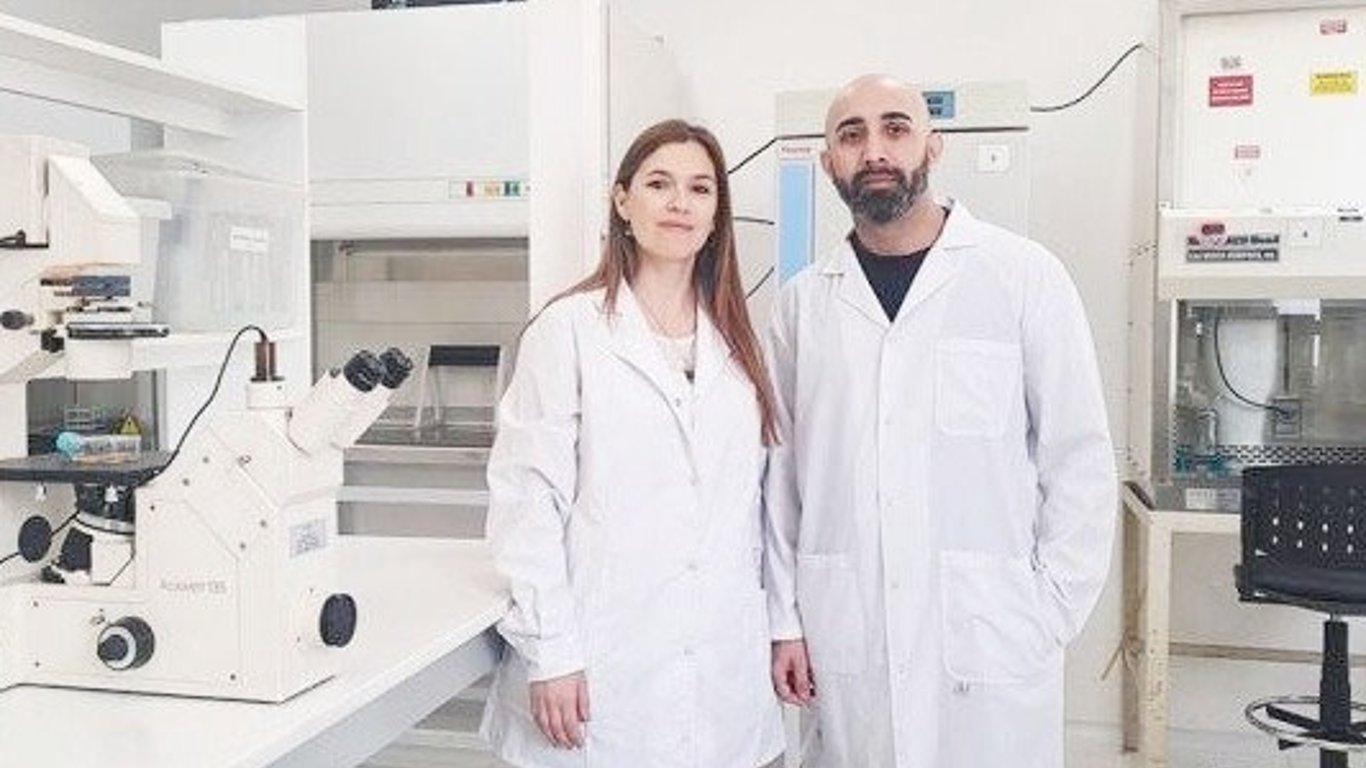 Avance en la lucha contra el dengue: extracto de piel de maní como potencial antiviral