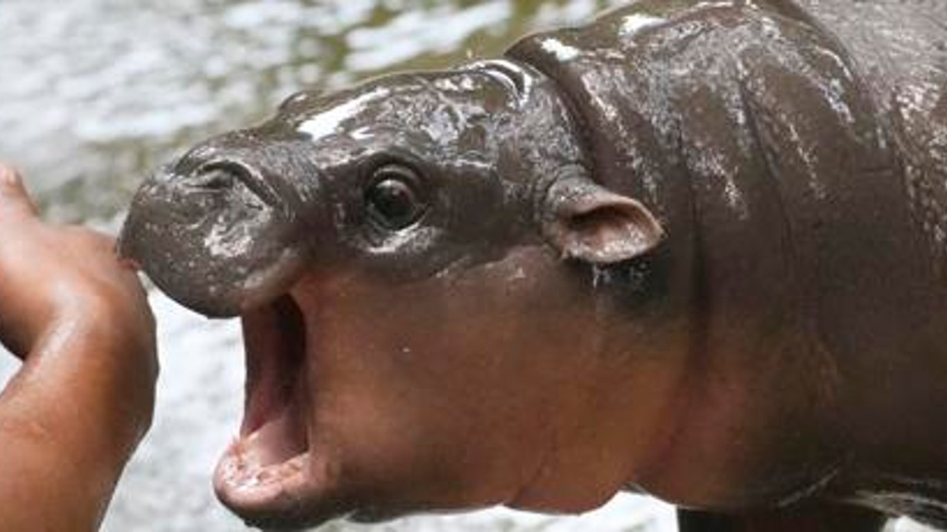 El Final de la Cultura Pop 2024: Un Año de Escapismo, Fantasía y Conexiones Emotivas