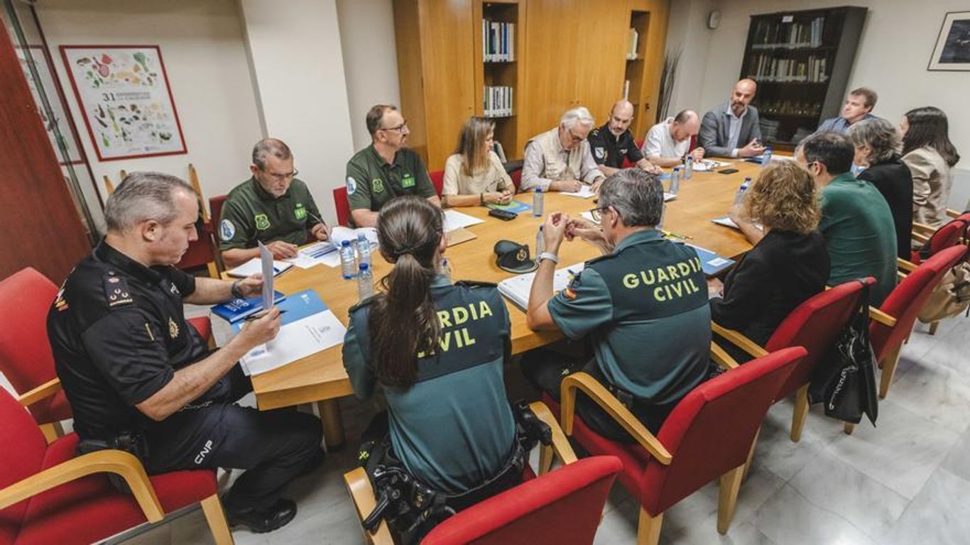 Concern in Ourense over forest fires: priority is fighting against the fire