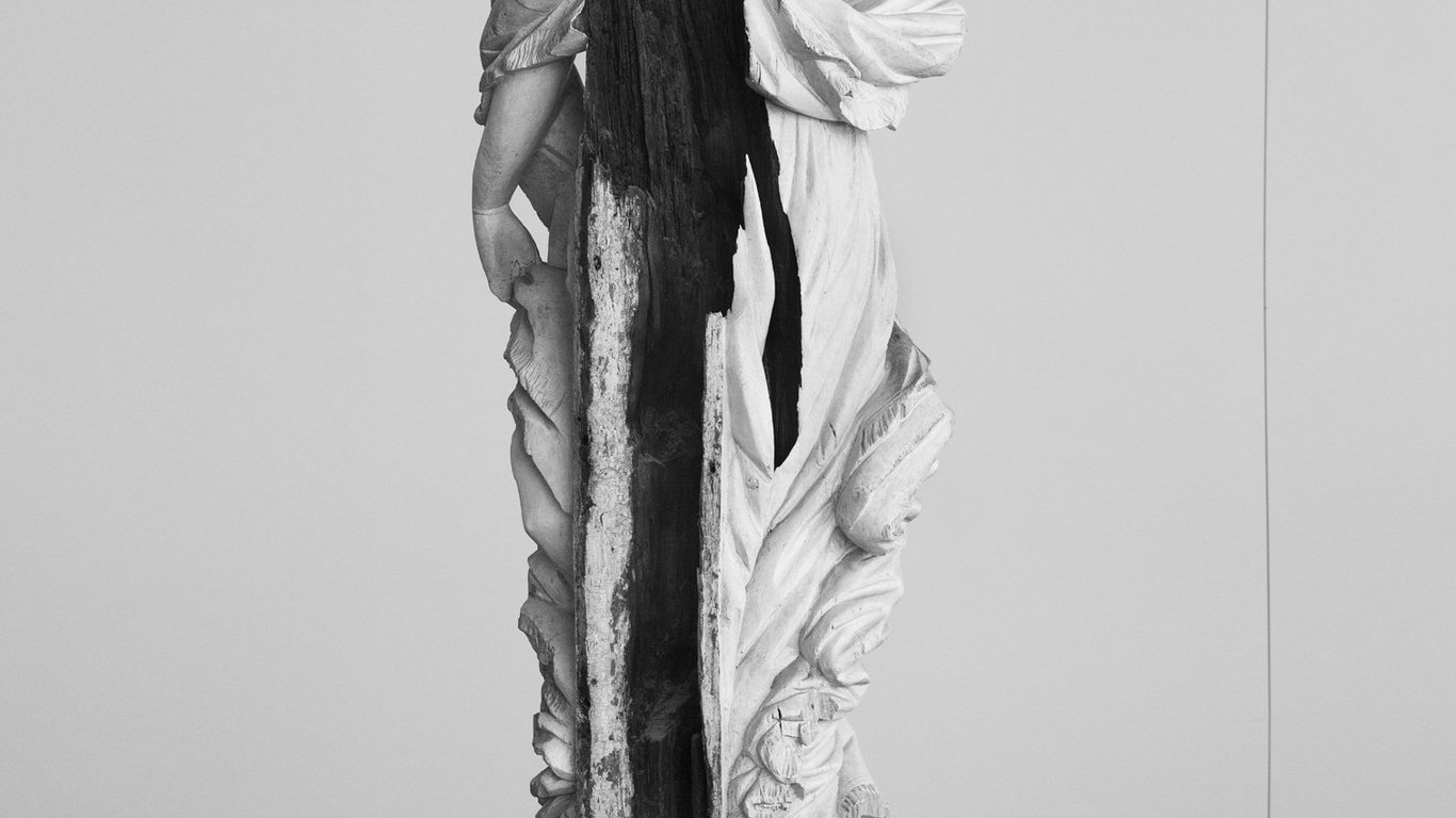 Glorificando la Violencia: La Peligrosa Narrativa Tras el Asesinato de un CEO de Salud