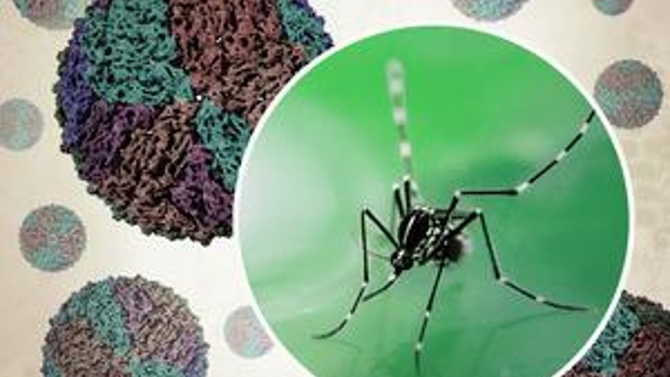 El NIH lanza un ensayo innovador para el tratamiento del dengue AV-1.