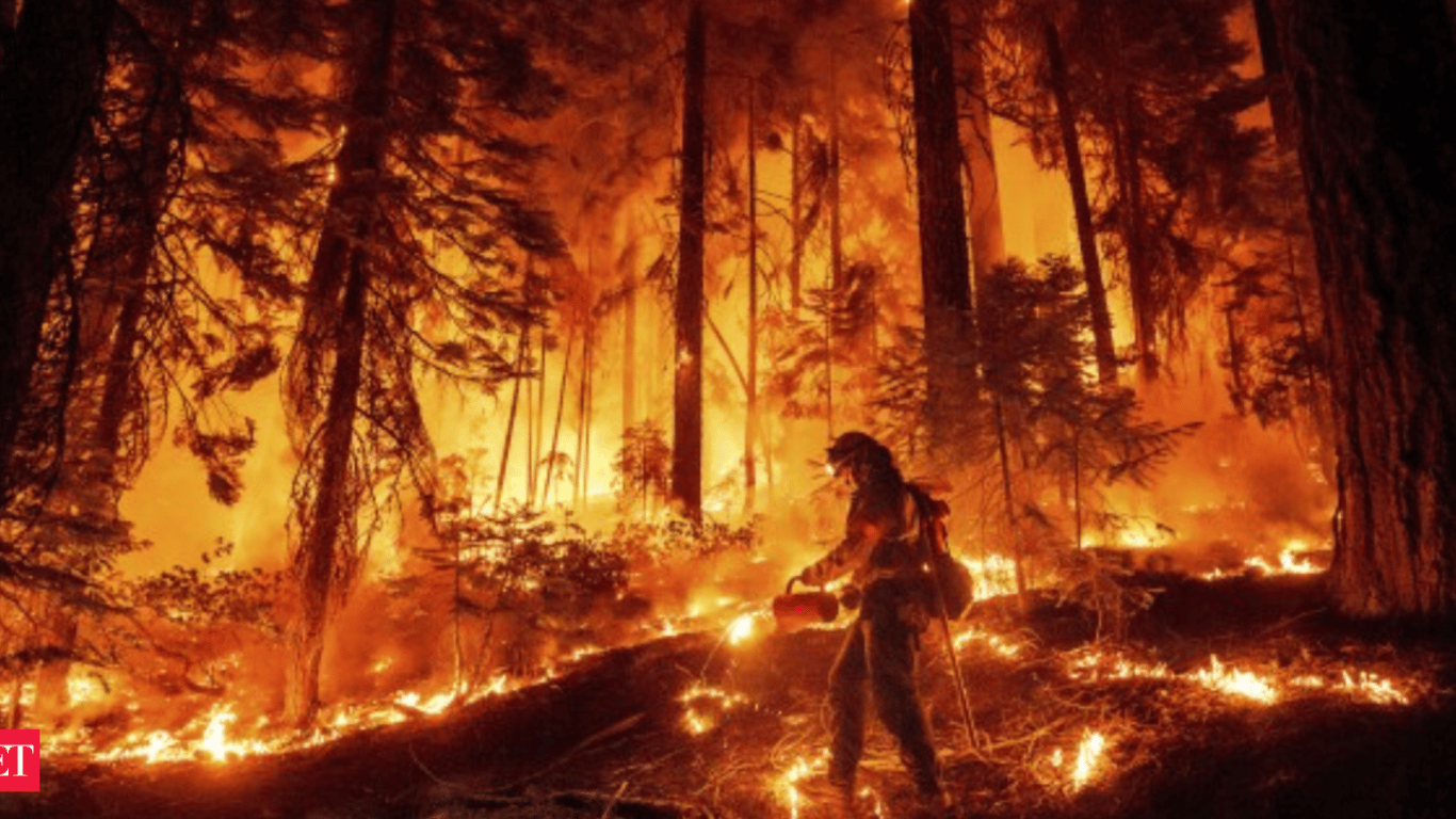 LA se prepara para una tormenta de lluvia: las áreas afectadas por incendios forestales enfrentan riesgos de inundaciones repentinas y deslizamientos de tierra.