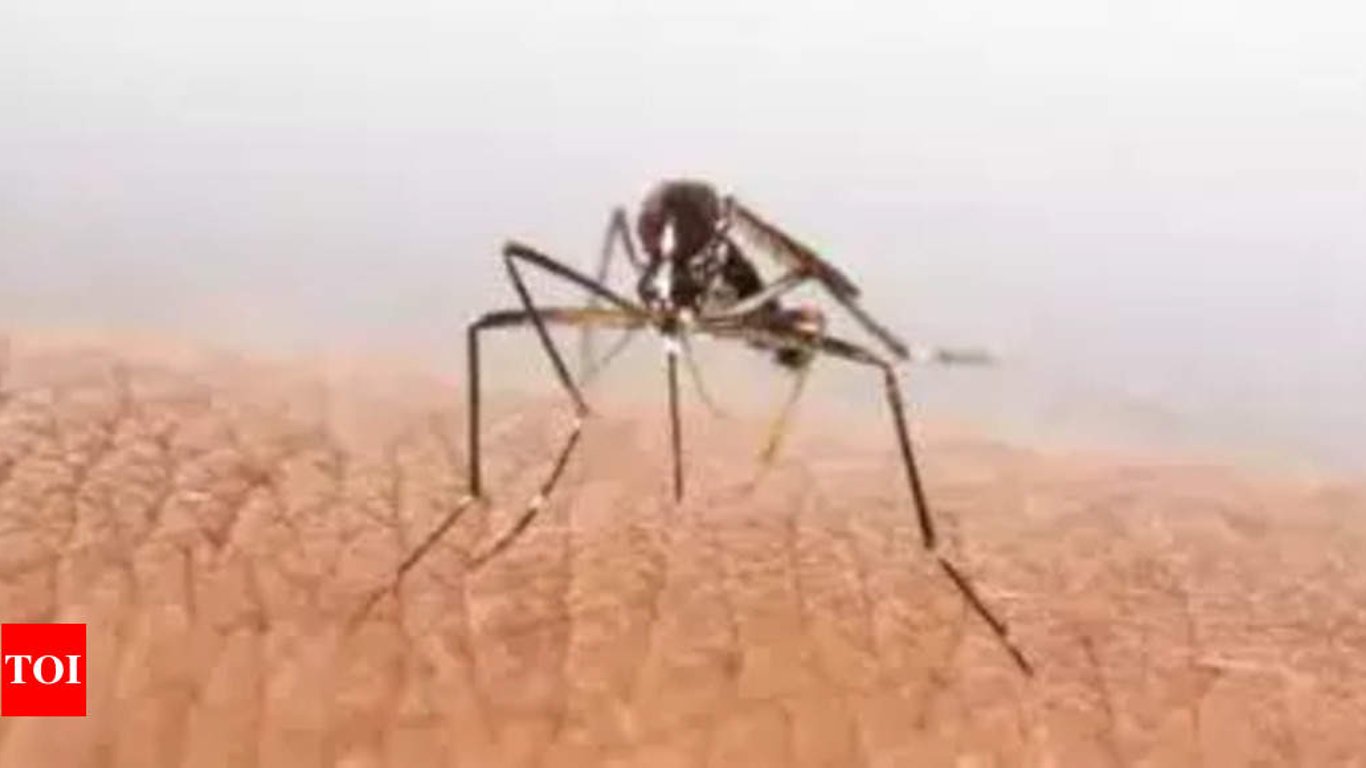 Los casos de Chikungunya aumentan alarmantemente en Telangana, los esfuerzos de salud pública están bajo presión.