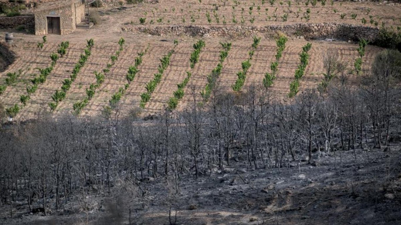 Catalunya registra el menor número de incendios en años gracias a la lluvia y el paisaje mosaico