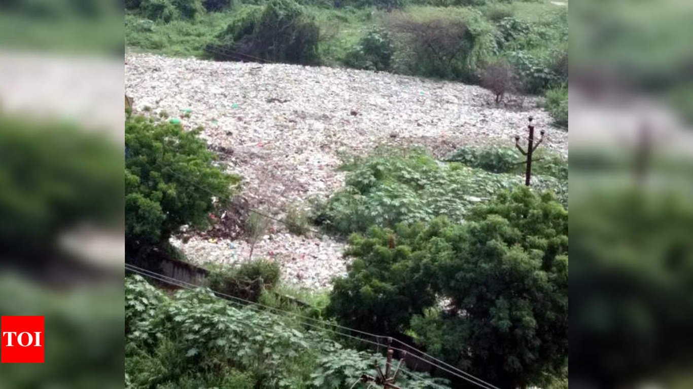 Crisis de contaminación se desata en Ghaziabad: residentes exigen acción contra el vertedero ilegal.