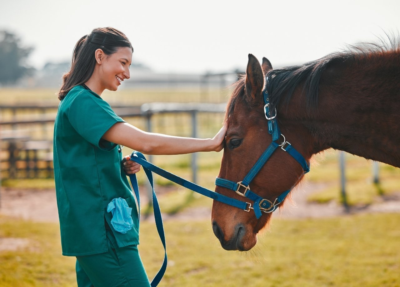 tunica calcas para veterinario