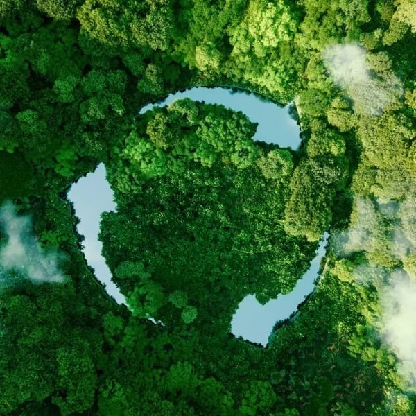 Sustentabilidade
