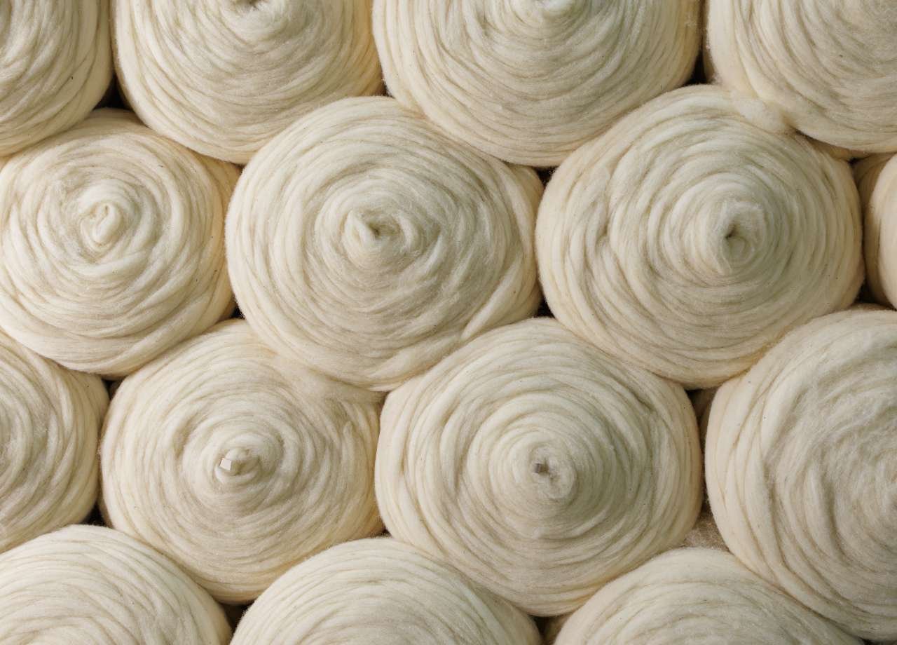 rolos de lã